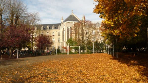 AGEA – Association de Gestion