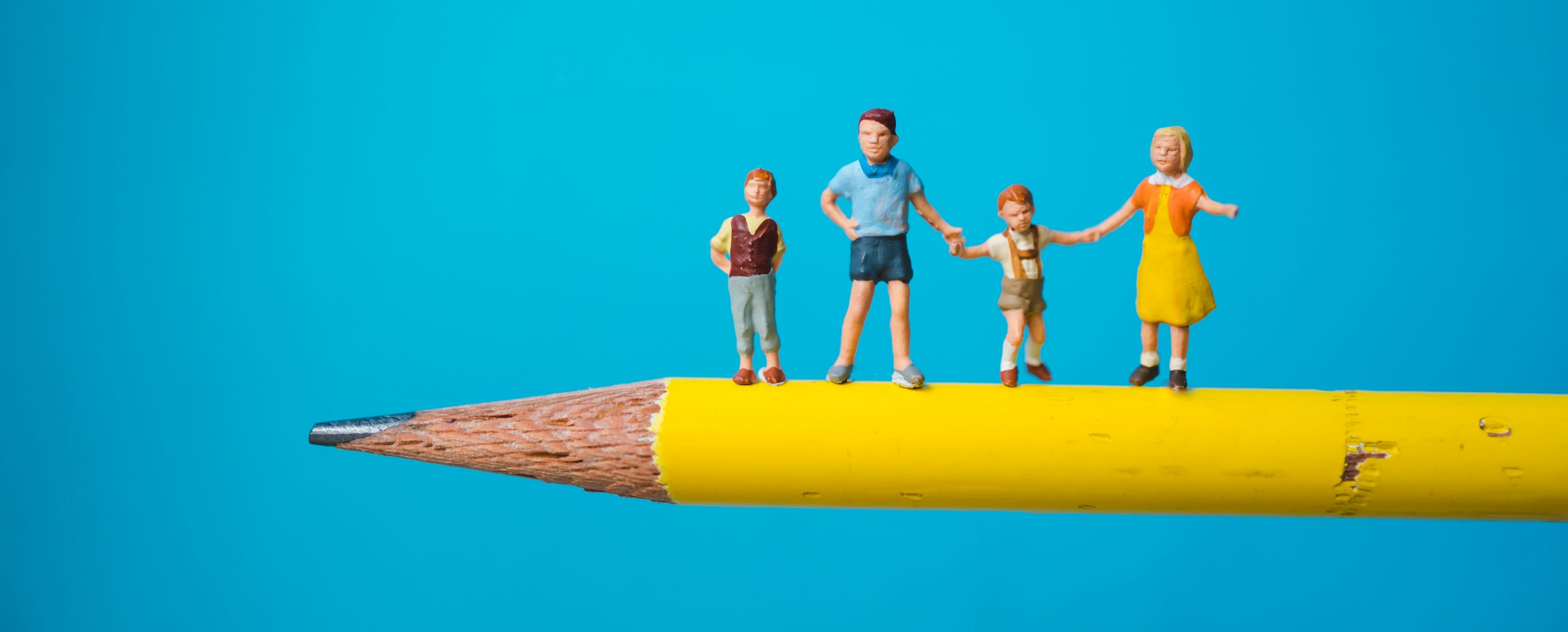 Ecole Organisation de la rentrée 2026