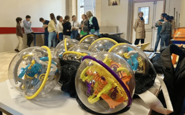 Championnat Perplexus