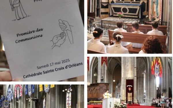 Ce samedi, 42 élèves de l’Assomption Orléans ont vécu un moment fort en foi lors des professions de foi et premières communions, entourés de leurs familles, dans le cadre majestueux de la cathédrale d’Orléans !