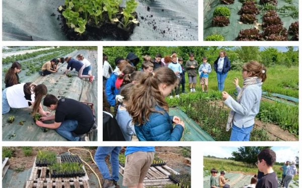 A la découverte du monde rural