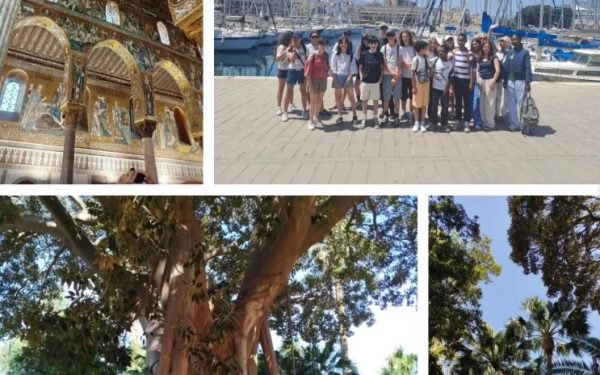 Voyage en Sicile pour les latinistes 5e, 4e et 3e –