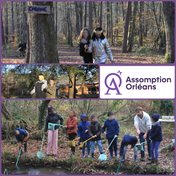 Classe Forêt : Les Caillettes en forêt d’Orléans