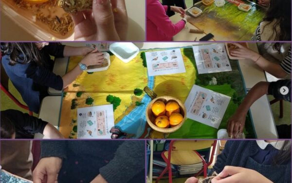 Club Assomption Vert – Fabrication de boules de graines pour les oiseaux