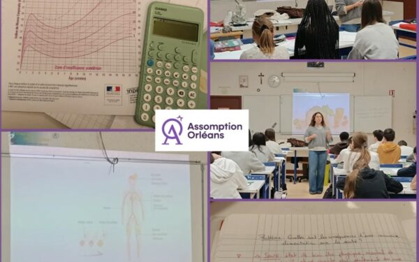 Alimentation et Santé pour les 5èmes