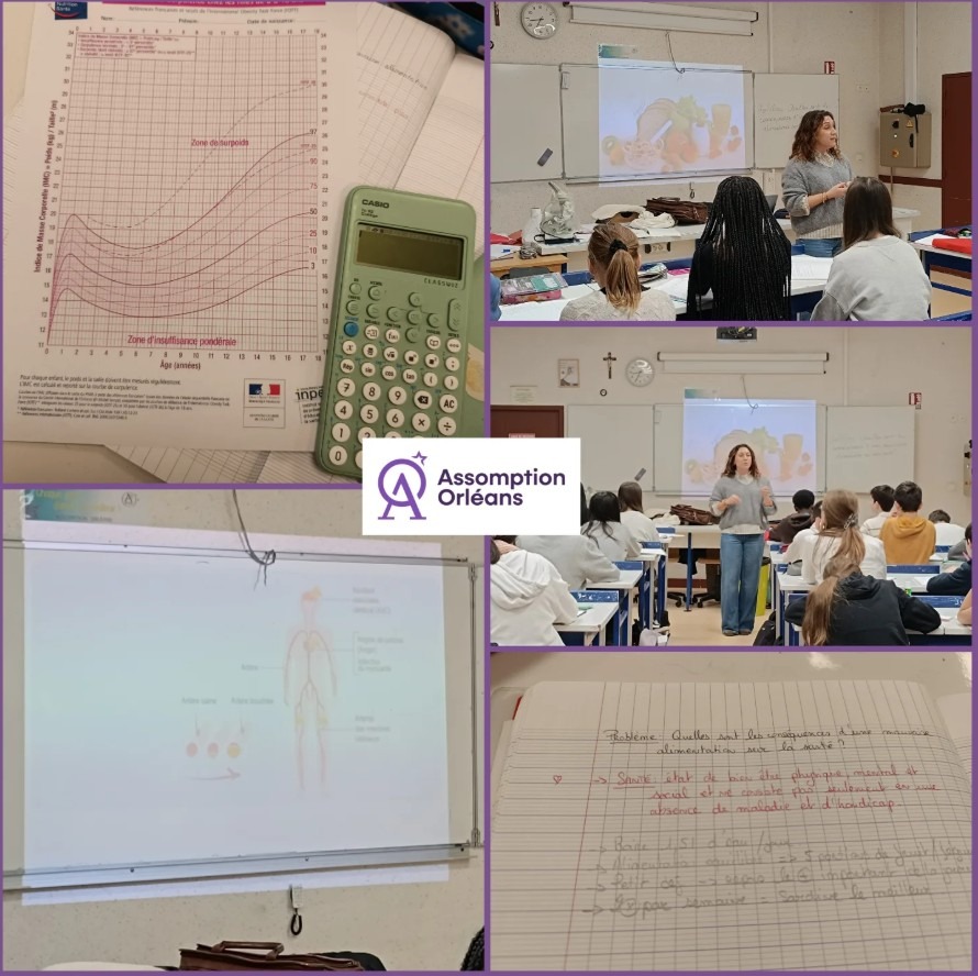 importance du petit-déjeuner, fruits et légumes de saison, analyse des plats préparés et des boissons « light » ou « zéro », alimentation équilibrée, sensibilisation aux maladies cardiovasculaires et à l’obésité, calcul de l’IMC…