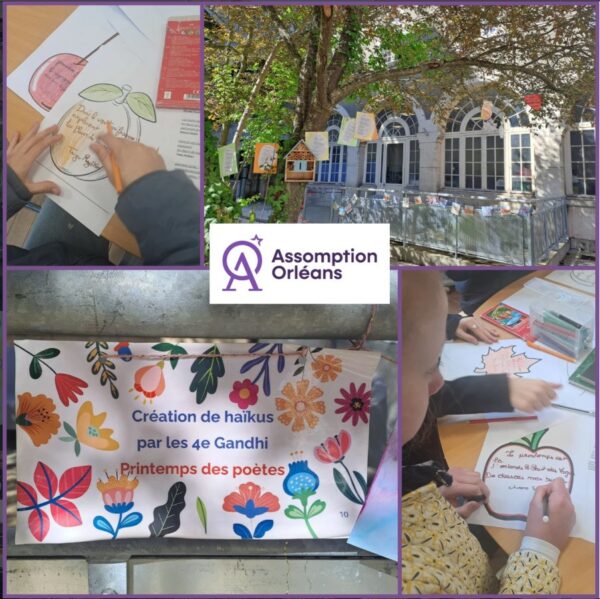 L&rsquo;art du haïku