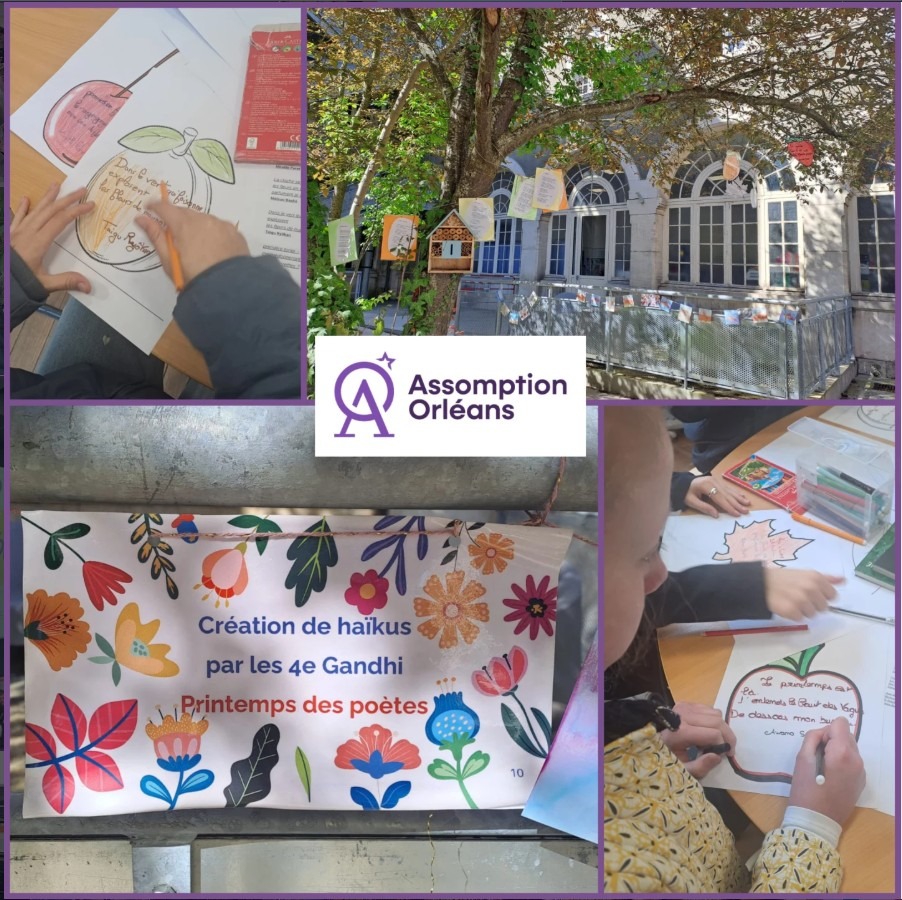 L&rsquo;art du haïku