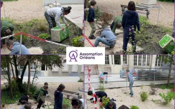 Session désherbage et paillage avec le club Assomption Vert