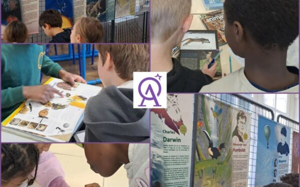 Une exposition sur les sciences pour les CM1 – CM2 – au CDI