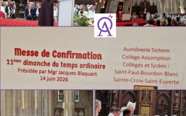 Confirmation à la cathédrale le 14 juin